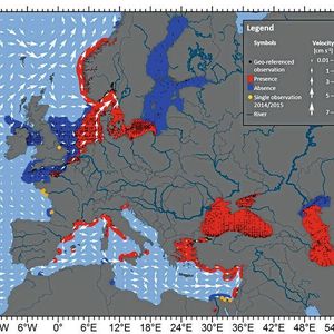 (Cornelia Jaspers/GEOMAR, DTU Aqua)