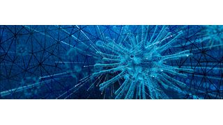 Die Corona-Pandemie offenbart die Bedeutung resilienter – aber auch nachhaltiger - Lieferketten. (Bild: gemeinfrei)