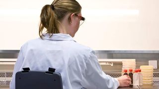 Biozide Produkte wie die Desinfektionsmittel des Spezialchemie-Konzerns Lanxess werden in der Leverkusener Anwendungstechnik der Business Unit Material Protection Products auf ihre Wirksamkeit getestet.  (Bild: Lanxess)