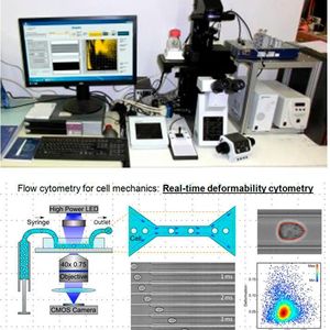 (Universität Hohenheim)