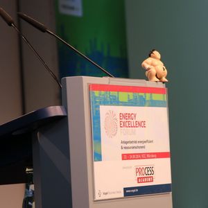 (Stephan/Schäffner/PROCESS)