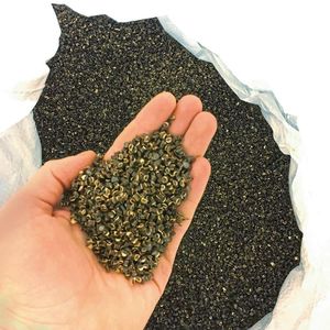 Unter dem Namen Renol wird der thermoplastische Biowerkstoff angeboten.(Bild:  Coperion)