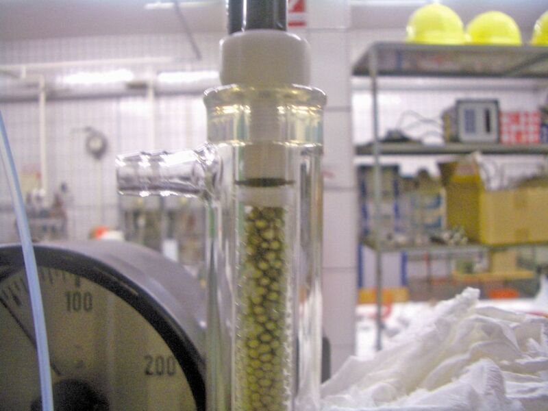 Abb. 3: Festbett-Kolonne, gefüllt mit immobilisierten Biomasse-Teilchen für zyklische Kolonnen-Experimente.  (Bild: TU Berlin)