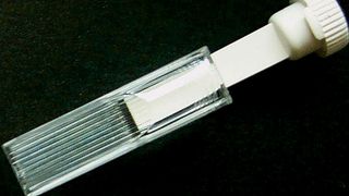 Abb.1: Der pab-Elisa-
Stick auf Basis nachwachsender
Rohstoffe. (Archiv: Vogel Business Media)