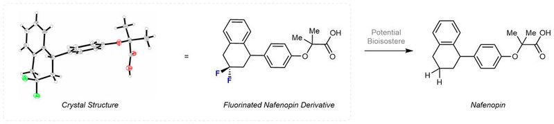 l.: Kristallstruktur (grau: Kohlenstoff, C; grün: Fluor, F; rot: Sauerstoff, O) des neuen, difluorierten Nafenopin-Derivats. Der modifizierte Wirkstoff wurde ausgehend von einem Zwischenprodukt hergestellt, welches mithilfe der beschriebenen Methodik synthetisiert wurde.<br> r.: Struktur von Nafenopin.