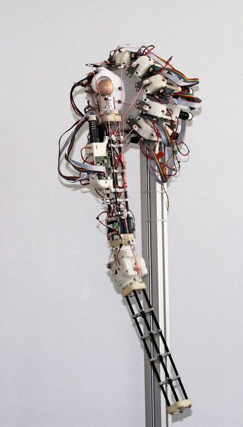 Zusammen mit den Projektpartnern entwickelte Systeme: Arm (a) und Bein (b). (Bild: Fraunhofer-IPA)