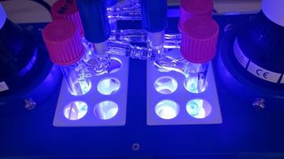 Für die Herstellung unsymmetrisch aufgebauter vizinaler Diamine nutzen die Chemiker blaues Licht. (Bild: WWU - AG Glorius)