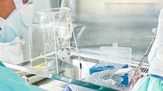 An der Uniklinik Köln forscht das DZIF an einer Immuntherapie gegen Tuberkulose. (Medizinische Fakultät der Universität zu Köln)