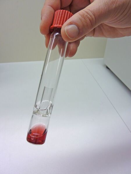 Abb. 4: Probe (rot) und Destillat (farblos) im Destillationseinsatz.  (Bild: Labor Wilhelm)
