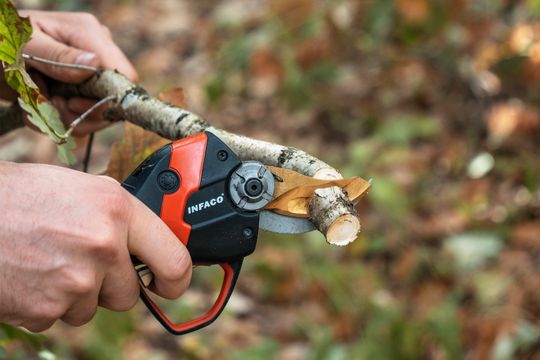 (In den fast 40 Jahren seit Gründung hat Infaco über 400'000 Astscheren verkauft. Bildquelle: Sintratec AG)