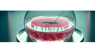 Dig in! The biotech industry certainly has an appetite for "cultivated meat". (Source:Friedbert - stock.adobe.com)