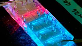 The new mechanophenotyping cytometer, developed by researchers from Brown and NIST, can be used to look at 60 to 100 cells per second, with rates up to hundreds or even thousands of cells per second being possible.  (Source: Graylen Chickering/Brown University.)