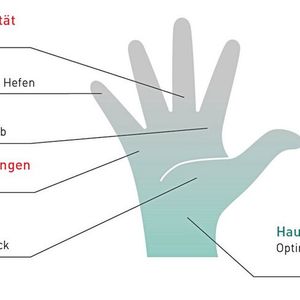 Ein sehr wichtiger Aspekt ist die Hautverträglichkeit.(Bild:  Motorex)
