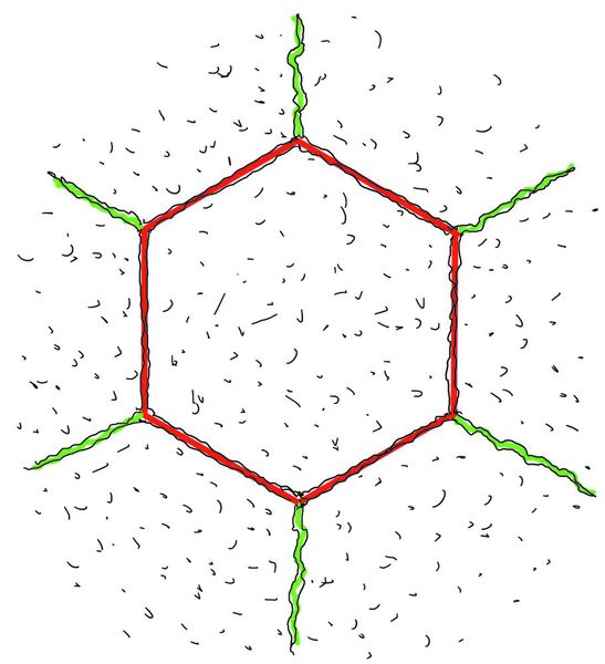 Abb. 3: Den sechseckigen Rissformationen werden meist energetische Betrachtungen zugeordnet. Allerdings ist jede Ecke dieses Vielecks auch als eine Kerbe im angrenzenden Medium zu verstehen und so starten prompt die Risse, die nunmehr das nächste Sechseck begrenzen, an dessen Ecken neue Kerbspannungen wirken werden. (Bild: Mattheck/KIT)