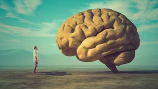 Knowhow ist im Projektgeschäft häufig ein limitierender Faktor. (© Orlando Florin Rosu - stock.adobe.com)