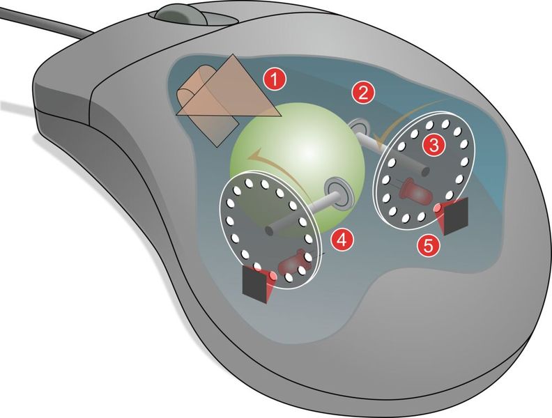 Kugelmaus:  Ab etwa 1985 wurde bei kommerziellen Rechnern die optomechanische Maus zum Standard-Eingabegerät, die auf demselben Prinzip wie Engelbarts Prototyp basierte: Beim Bewegen der Maus rollt die Kugel (1). X- und Y-Achsen übernehmen den jeweiligen Anteil der Bewegung (2). Über eine Welle werden die entsprechenden Lochscheiben gedreht (3). Infrarot-LEDs leuchten durch die Löcher (4). Sensoren empfangen die Lichtpulse, die in X- und Y-Geschwindigkeiten umgesetzt werden (5). (Bild: Jeremykemp & Pbroks13, via Wikimedia Commons)