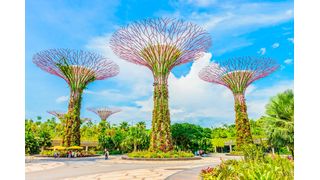 Neues Bündnis? Das ist ein Hingucker im Stadstaat Singapur, den man auch als Symbol für stabile Verhältnisse und Wachstum deuten könnte. Nicht zufällig trafen sich nun der deutsche Außenminister und sein dortiger Kollege, um über gegenseitige Handelsbeziehungen zu reden ... (Bild: Ph. Guptin)
