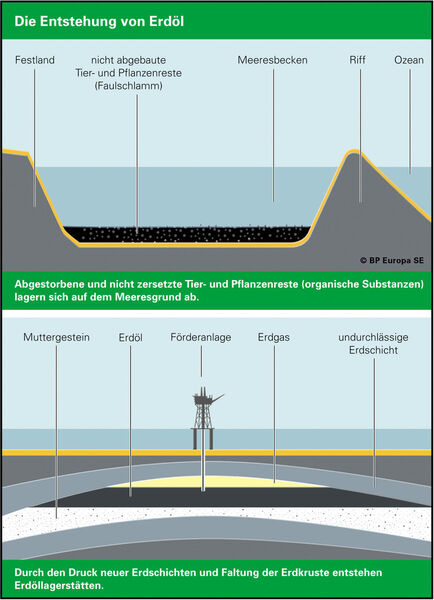 Heutige Erdöl- und Erdgaslagerstätten sind vor vielen tausend Jahren aus abgestorbenen Tier- und Pflanzenresten entstanden. (Grafik: BP)