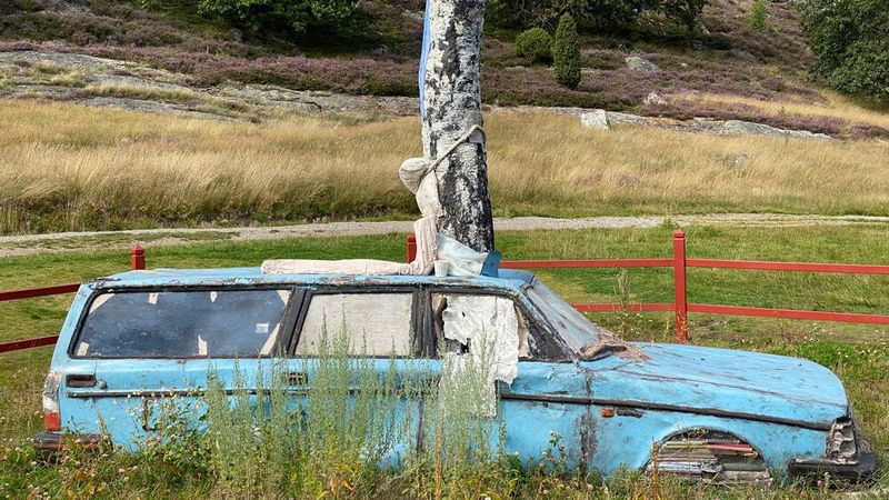 Ein Auto wie ein Monument – Volvo 240 Kombi als Kunstwerk im Skulpturenpark Pilane, Insel Tjörn (Schweden). (Bild: autodrom)
