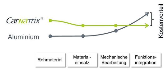Als wettbewerbsfähige Alternative zu den Aluminiumschaltgabeln kam nur die Entwicklung einer Faserverbund-Kunststoff-Schaltgabel (Car-Na-Trix) in Betracht.(Bild:  Koki)