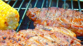 Beim Grillem im Sommer entsteht bei der Reaktion von Fett mit glühender Kohle Benzopyren, ein verbreitetes Umweltgift, das beim Menschen Krebs auslösen kann. (gemeinfrei)