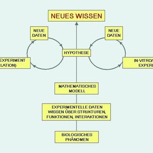 Abb. 2 Ein Systemansatz basiert immer auf einem iterativen Prozess. (Quelle für Abb.: BMBF Publik. Systembiologie)