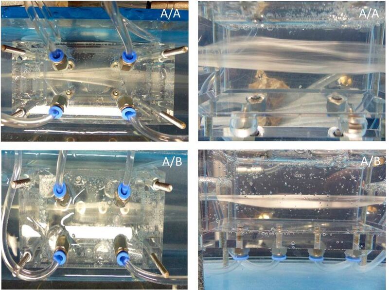 Bild 4: Kameraaufnahmen des geöffneten Faserbündels in Waschboxen mit A/A-Design (oben) und A/B-Design (unten). (Bild: ITA)
