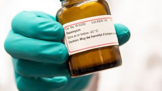 Rapamycin ist das zurzeit vielversprechendste Anti-Aging Medikament. (Bild: Katharina Link / Max-Planck-Institut für Biologie des Alterns)