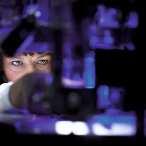 Die Harmonisierung zielt darauf ab, den internationalen Regel-Dschungel zu lichten und zu vereinheitlichen.