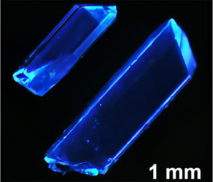  Ungiftiges blaues Licht  Ein Forscherteam hat ein umweltfreundliches, stabiles und äußerst helles Material entwickelt, das tiefblaues Licht in einer LED erzeugt. Dieses neue Kupfer-Iodid-Hybridmaterial könnte die Weiterentwicklung von blauen LED-Technologien erheblich unterstützen.  Herkömmliche blaue LEDs stehen häufig vor Herausforderungen wie mangelnder Stabilität, Skalierbarkeit, hohen Kosten und Umweltproblemen. Im Gegensatz dazu ist das neu entwickelte Material ungiftig und bietet dennoch eine beeindruckende Leistungsfähigkeit. Blaue LEDs sind besonders wichtig für die allgemeine Beleuchtung, da sie zur Erzeugung von weißem Licht beitragen.  Dabei hat dieser neue Hybrid-Halbleiter entscheidende Vorteile gegenüber anderen Materialien, die oft giftige Bestandteile enthalten oder instabil sind: Dank einer hohen photolumineszenten Quantenausbeute wandelt das Material nahezu die gesamte aufgenommene Energie in blaues Licht um. Diese neue Technik steigert die Leistung der LEDs erheblich, wodurch diese effizienter, heller und langlebiger werden können. An der Forschung waren auch Wissenschaftler von Rutgers und internationalen Institutionen beteiligt.  Das Bild zeigt Hybridkupferiodidkristalle, die in einem Labor der Rutgers-Universität entwickelt werden und tiefblaues Licht ausstrahlen. Hier gehts zur Originalmeldung Wissenschaftsbild des Tages vom 22.7.2025  (Bild: Kun Zhu/Jing Li Lab/Rutgers University)