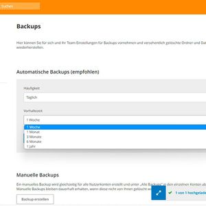 Strato bietet in HiDrive eine integrierte Backup-Lösung an, die sich an die Anforderung des Teams oder der Familie anpassen lässt. (Bild:  Joos)
