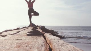 Belebt die Disruption das Geschäft und können angestammte Player ihre Resilienz-Kräfte aktivieren, können sie gestärkt daraus hervorgehen. (gemeinfrei)