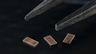 Der Neurochip LogSync misst rund 4 × 2 mm. (Bild: EPFL / Lundi13, CC-BY-SA 4.0)