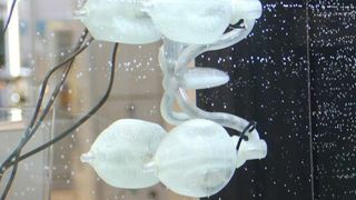 Vier elastische Kunststoffbälle pumpen Wasser und sorgen so für den erforderlichen Vortrieb. Das Antriebssystem wurde mit dem generativen Fertigungsverfahren Fused Deposition Modeling hergestellt. (Bild: Fraunhofer IPA)