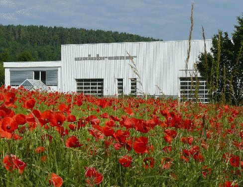 Weinbrenner Image.gif ()