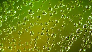 Die Wahl der Hard- und Software für ein RZ-Netz hat unmittelbare Auswirkungen auf die Skalierbarkeit, die Belastbarkeit und die Leistungsfähigkeit der Systeme.  (Егор Камелев auf Pixabay)