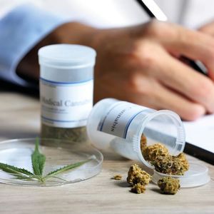 Abb. 1: In Deutschland ist medizinisches Cannabis seit dem 1. März 2017 verschreibungsfähig