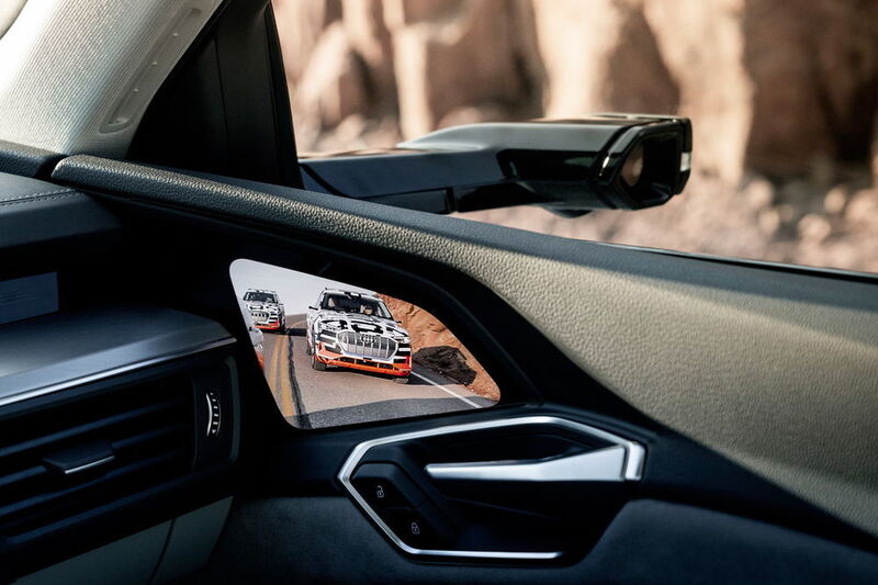 Auf der Innenseite der Türen sitzt ein 7-Zoll-Display mit OLED-Technik und Touch-Funktion. (Audi)