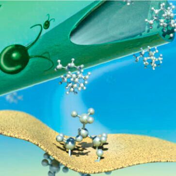 A team of Kaust scientists have devised a method to extract useful chemicals from microalgae. The system is based on a series of membranes, one of which is built from hollow microfibers, that separate the microalgae-containing fluid from the desired product. A team of Kaust scientists have devised a method to extract useful chemicals from microalgae. The system is based on a series of membranes, one of which is built from hollow microfibers, that separate the microalgae-containing fluid from the desired product.