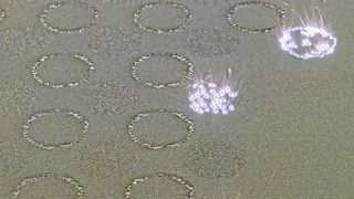 Die Baukammer, in der Cellcore das Triebwerk additiv gefertigt hat, gehört zur SLM 280 von SLM Solutions. (© Wolfram Schroll)