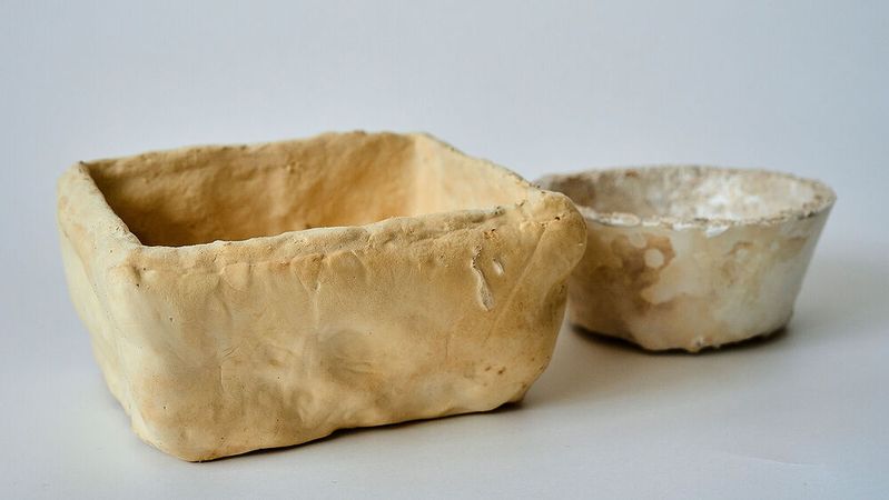 Nachhaltig und biologisch abbaubar: Verpackungen aus Pilzmyzel.(Bild:  Fraunhofer IAP, Jadwiga Galties)