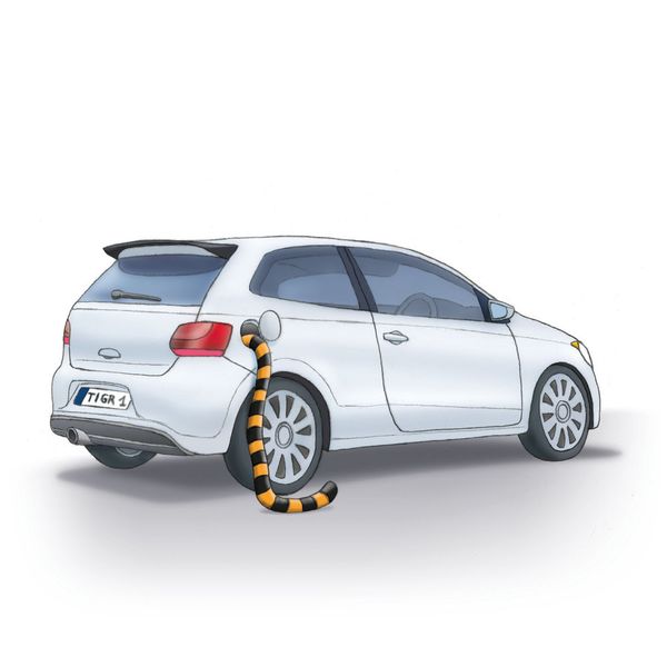 „Der Tiger im Tank“: Welche Großkatze würde sich schon gerne in einen Tank sperren lassen? Die Mineralölfirma Esso versuchte eben dieses in den 60er-Jahren und versprach mit dem Slogan: „Pack den Tiger in den Tank“, dem Motor zu tierischer Kraft zu verhelfen. Auch wenn der Tiger an sich ein Panther ist (Panthera tigris) und unter Artenschutz steht, so verirrt sich ab und zu doch noch einer unter eine Motorhaube. Besonders wohl fühlt sich die Raubkatze offenbar in den untermotorisierten Triebwerken aufgemotzter Autos junger, männlicher Fahrer. Erkennungsmerkmale sind fauchend aufheulende Motoren und Gestank verbreitende Kavalierstarts.  (Bild: ACE/Bartmus)