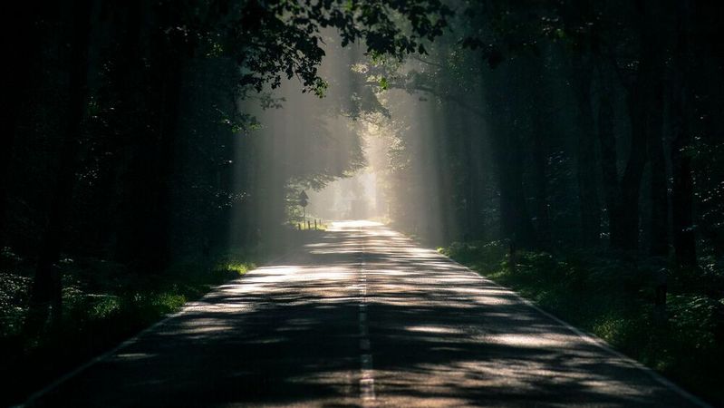 KI hilft bei der Detektion von Straßenschäden, indem sie Bilder der Fahrbahn automatisch auswertet.(Bild:  frei lizenziert /  Pixabay)