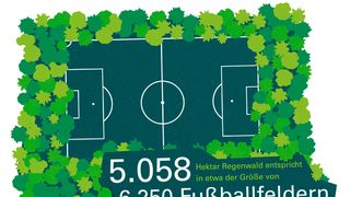 In Peru und Papua-Neuguinea hat Prologis bereits dazu beigetragen, dass 5058 ha Regenwald geschützt werden – das entspricht einer Fläche von etwa 6250 Fußballfeldern. (Prologis)