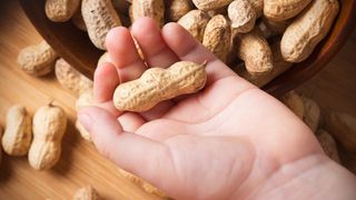 Die Erdnussallergie gehört unter den Nahrungsmittelallergien zu den häufigsten Erkrankungen und äußert sich oft in schweren, potenziell lebensbedrohlichen Reaktionen. (Symbolbild) (Bild: Alex M - stock.adobe.com)