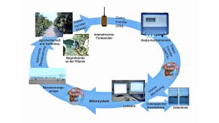 Abb. 1: Schema der Sensor-Funktechnik, Datenfernübertragung und Fernsteuerung der Bewässerung.  (Bild: Rüger/Zimmermann, Uni Würzburg)