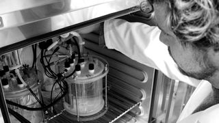 Der Biologe Johannes Eberhard Reiner vom KIT zeigt die Reaktoren zur mikrobiellen Elektrosynthese. (Constanze Zacharias)