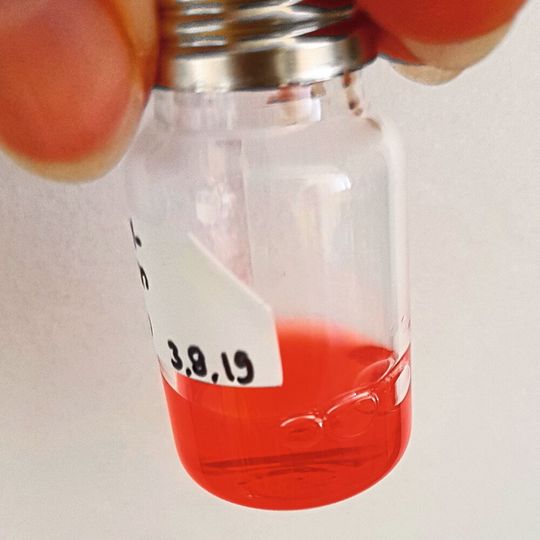 In der auf die Elektrolyse folgenden Fermentation wird Ameisensäure zu einem wertschöpfenden terpenoiden Farbstoff umgesetzt. In der auf die Elektrolyse folgenden Fermentation wird Ameisensäure zu einem wertschöpfenden terpenoiden Farbstoff umgesetzt.