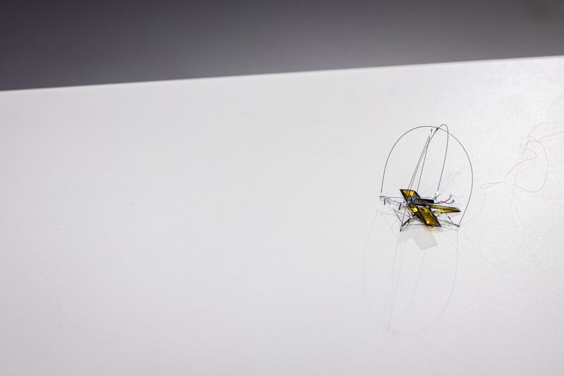 Noch ist der Prototyp kabelgebunden und springt ungerichtet. Das Team arbeitet jedoch bereits an einer autarken und vollautonomen Version: Integrierte Solarzellen und Akkus sollen künftig die Stromversorgung übernehmen.  (Bild: Mark Stone/University of Washington)