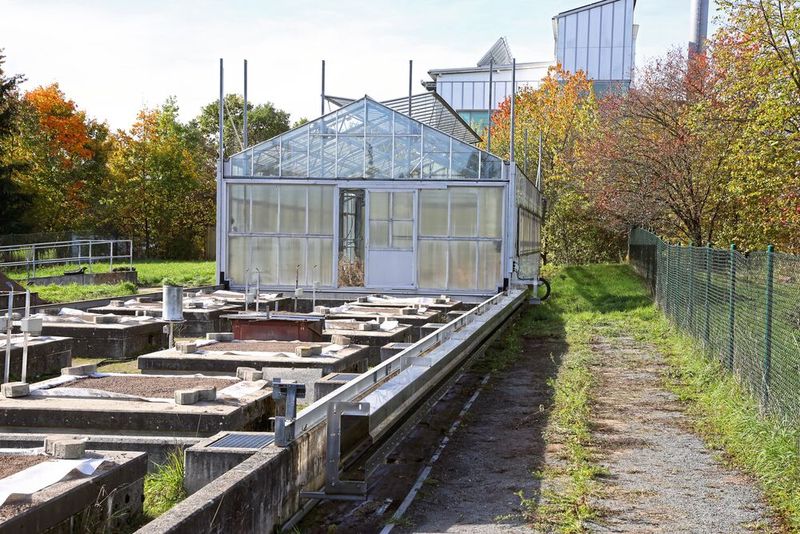 Bei dem Rollgewächshaus im Ökologisch-Botanischen Garten der Universität Bayreuth wurde ein Basic Flizz System mit einem Verfahrweg von circa 21 Metern realisiert.  (Bild: igus GmbH)